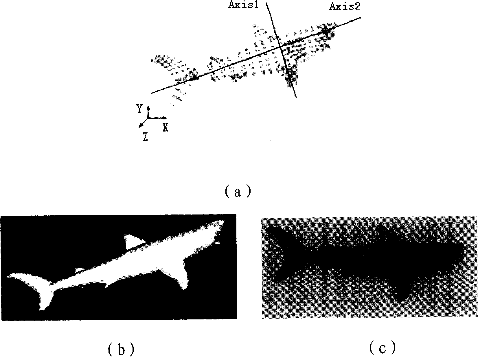 Three-dimensional digital watermarking method and apparatus based on three-dimensional model depth projection