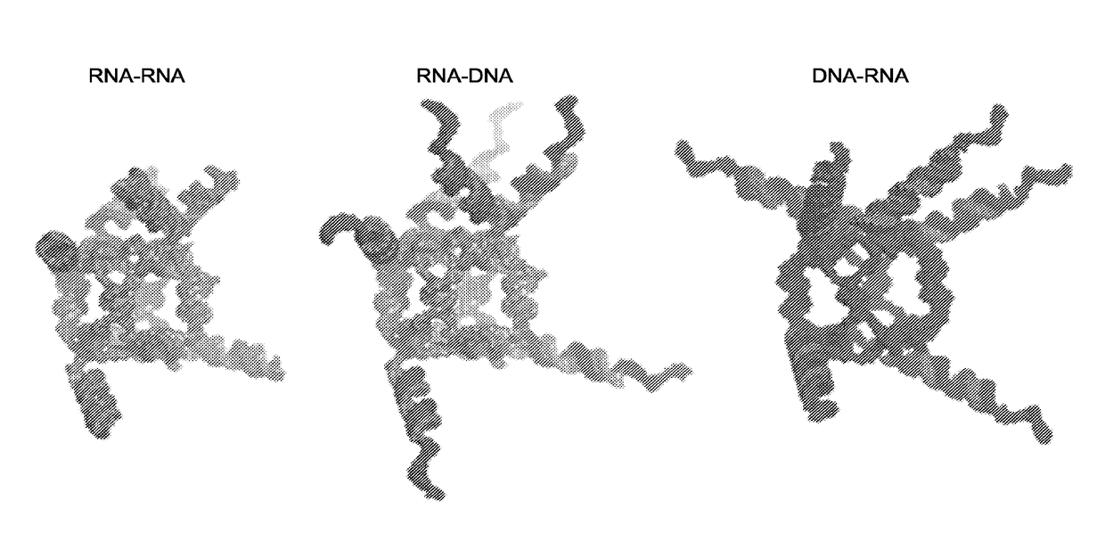 Triggering RNA interference with RNA-dna and dna-RNA nanoparticles