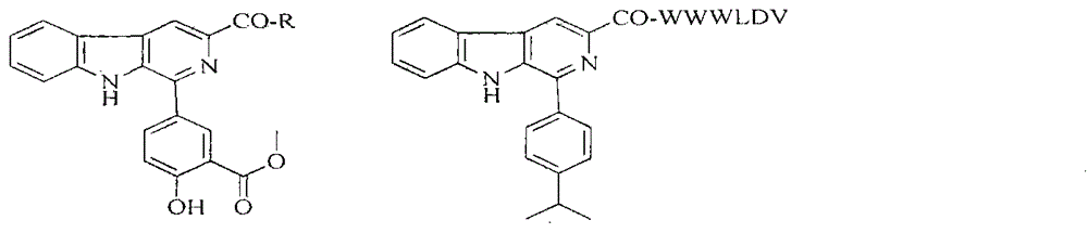 Carboline carboxylic-Orn(ClCH2NH)-AA-benzylamine, its synthesis, activity and application thereof