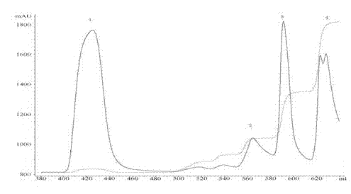 Pegylated exenatide ramification and use thereof