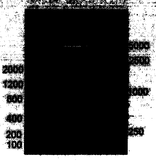 Preparation method of transgenic mouse of specificity expression Cre recombinase of hematopoietic system