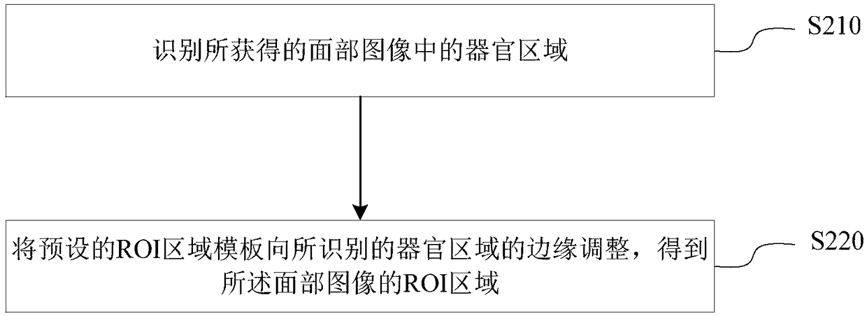 ROI template generation method, ROI extraction method, system, device, and medium