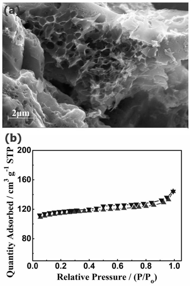 A kind of nitrogen and phosphorus co-doped porous biomass carbon material and its preparation method and application in supercapacitor