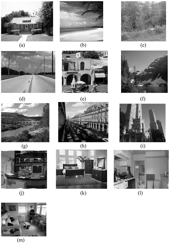 Image Classification Method Based on Supervised Shared Component Topic Model