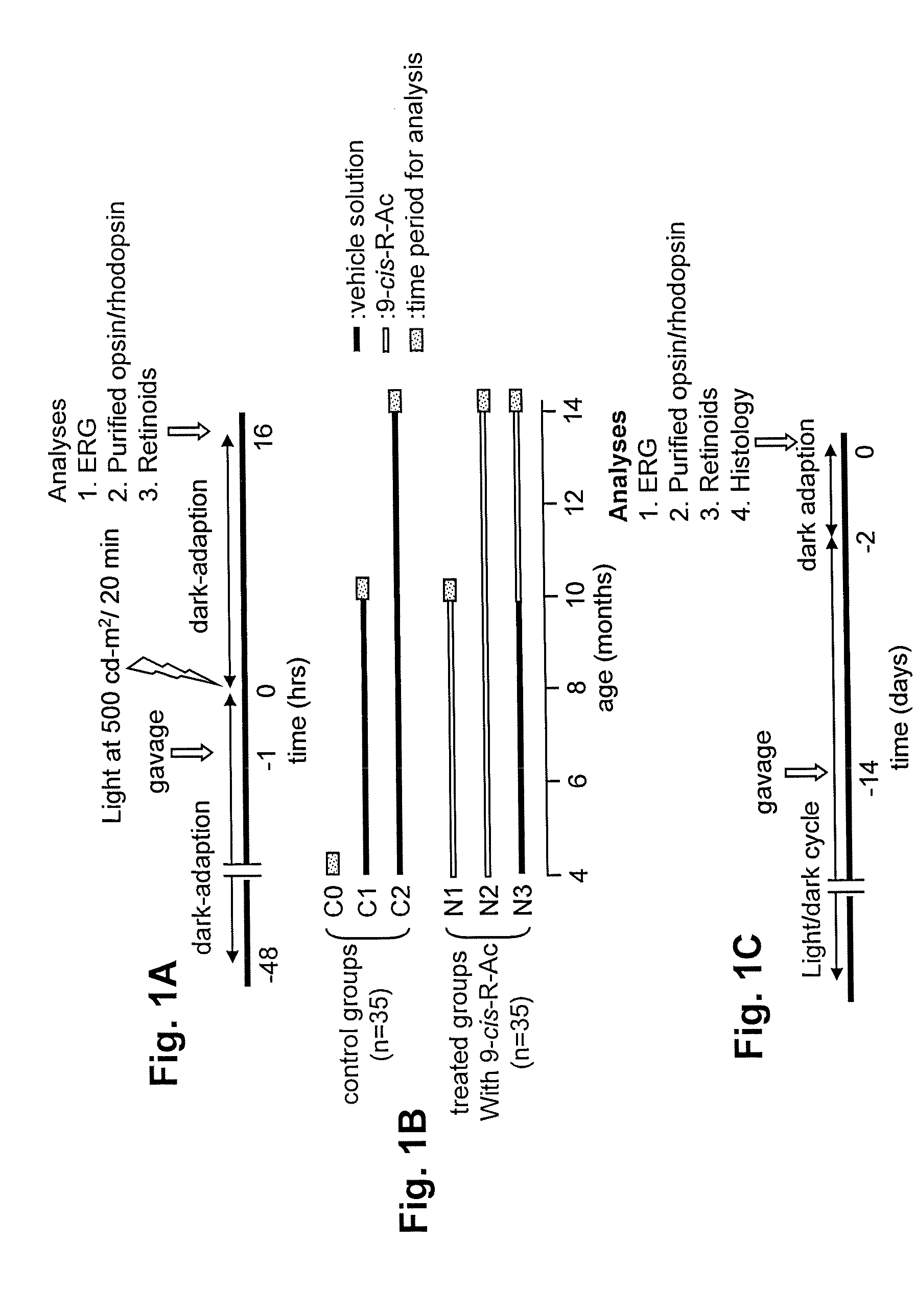 Methods for the treatment and prevention of age-related retinal dysfunction