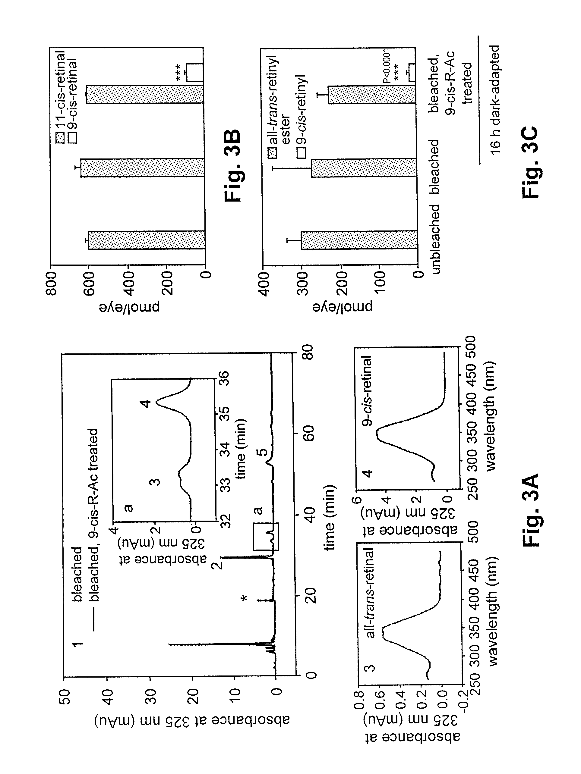 Methods for the treatment and prevention of age-related retinal dysfunction