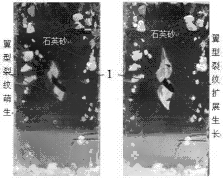 Manufacturing method of rock-internal-crack-simulated expansion transparent material