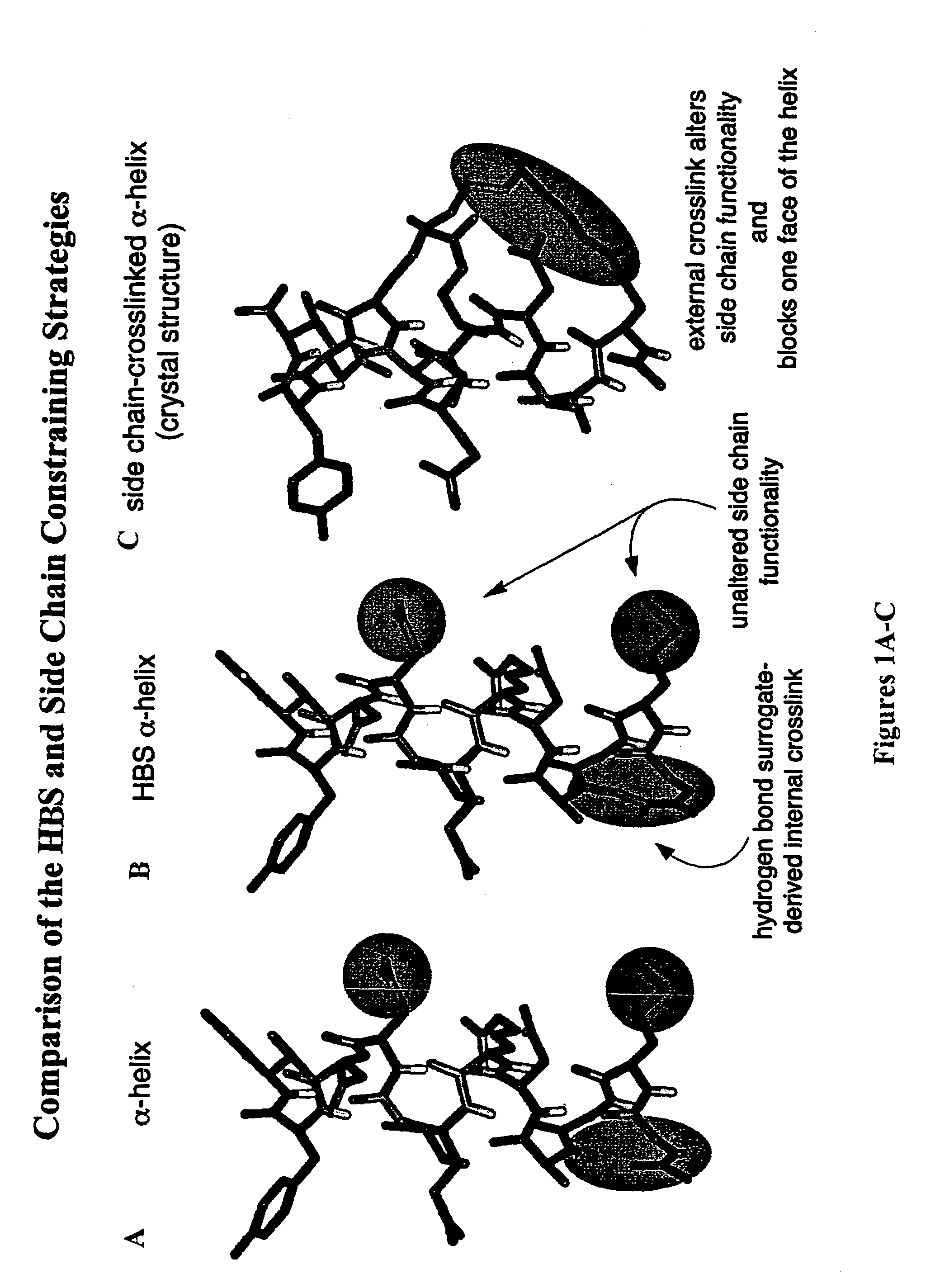 Methods for preparing internally constrained peptides and peptidomimetics