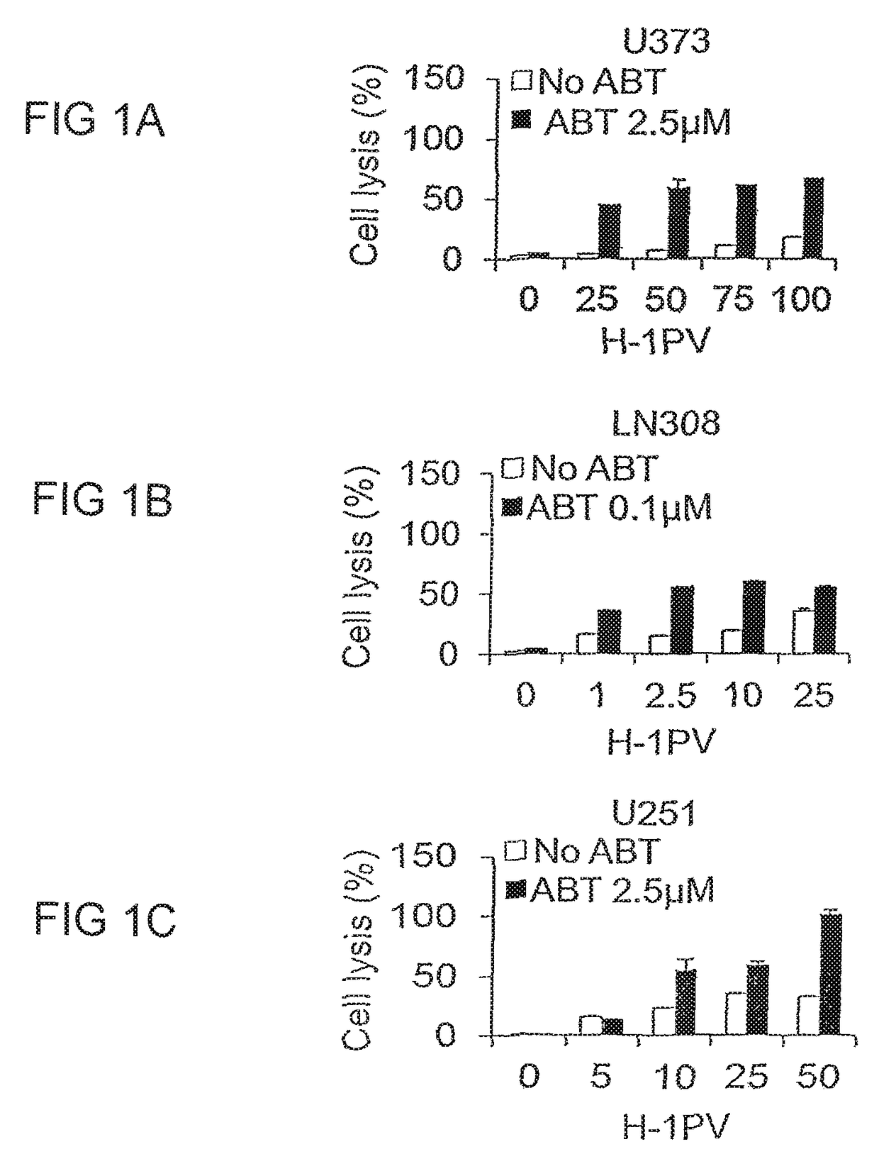 Cancer therapy with a parvovirus combined with a Bcl-2 inhibitor