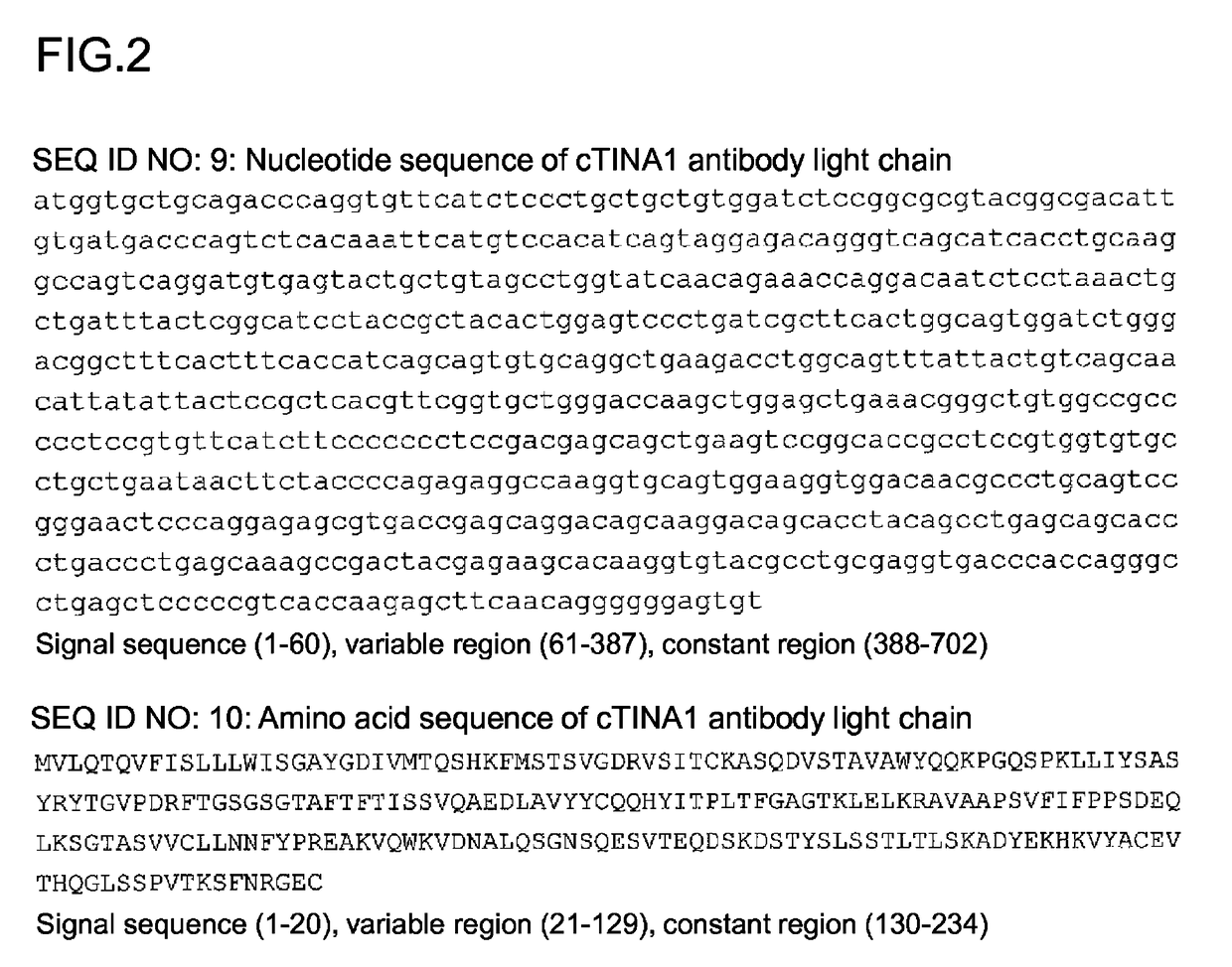 Anti-TROP2 antibody-drug conjugate