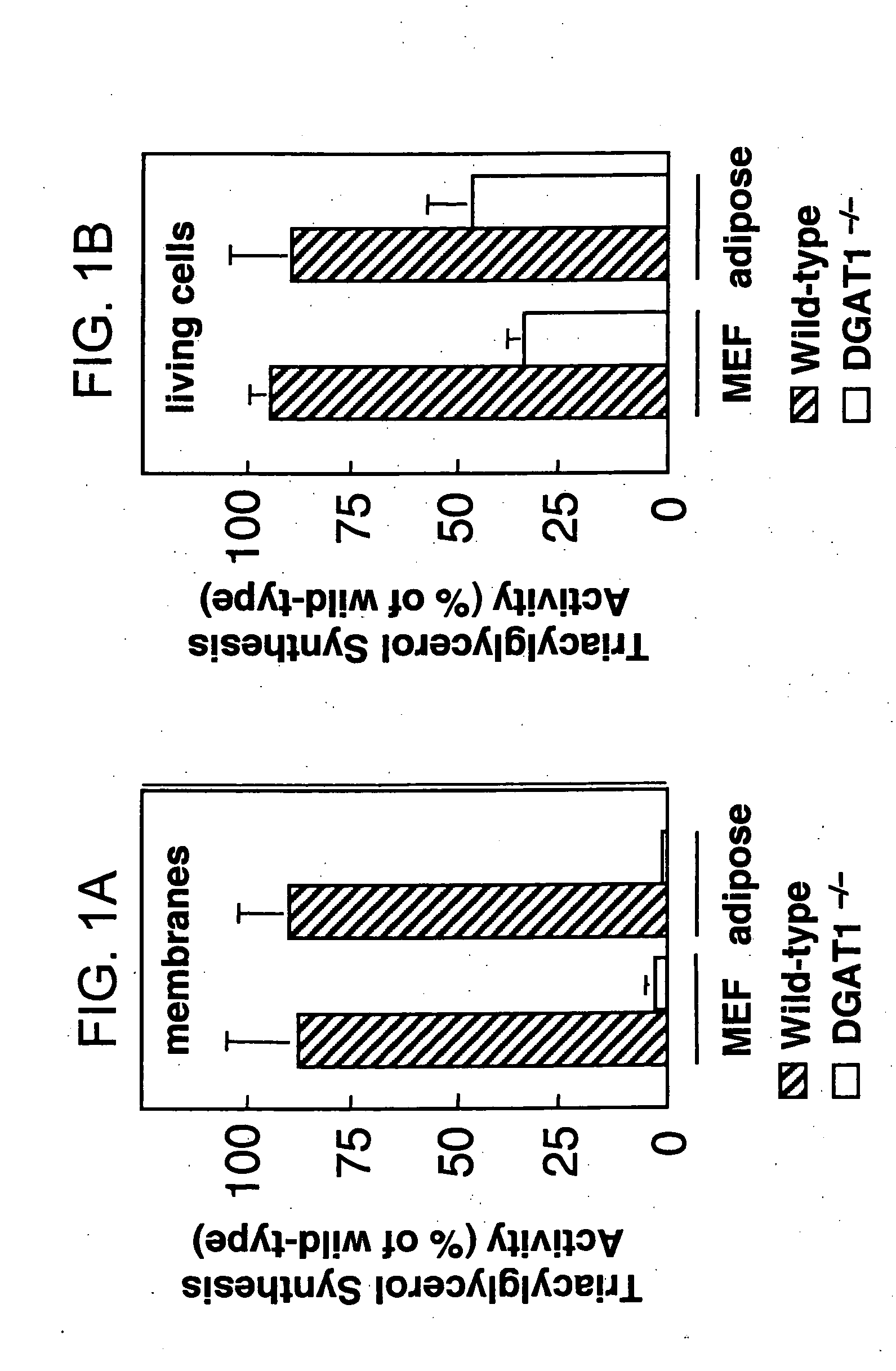 Mono-and diacylglycerol acyltransferases and methods of use thereof