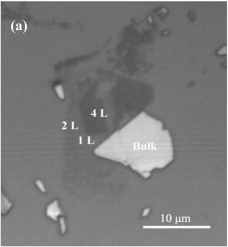 Two-dimensional tin selenide nanosheet-based surface enhanced Raman substrate and production method thereof