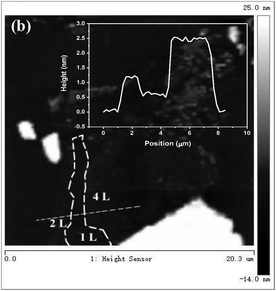 Two-dimensional tin selenide nanosheet-based surface enhanced Raman substrate and production method thereof