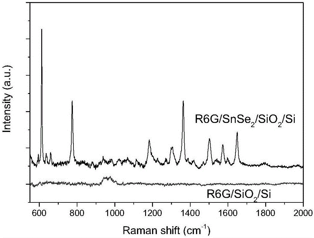 Two-dimensional tin selenide nanosheet-based surface enhanced Raman substrate and production method thereof