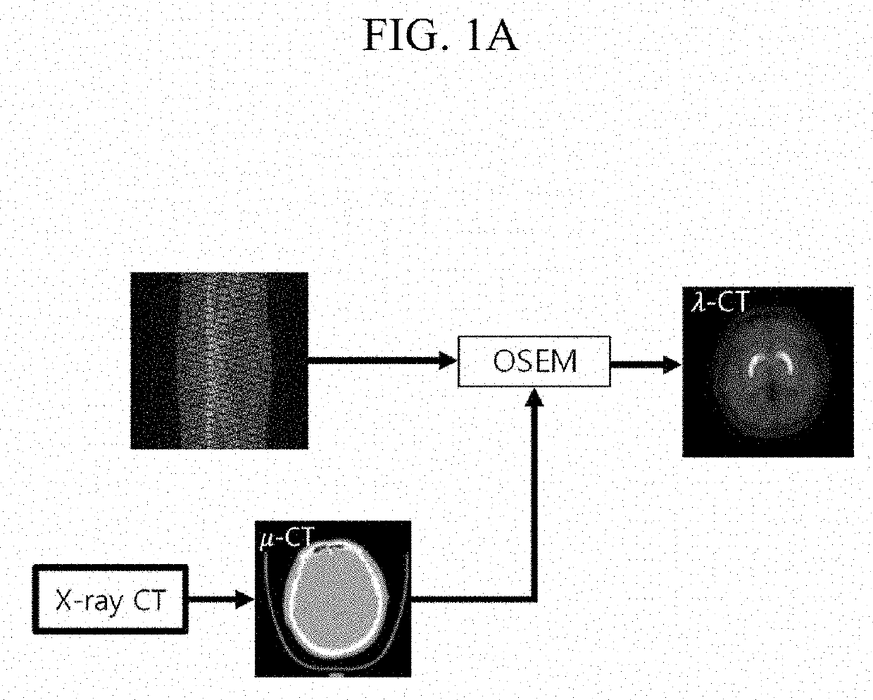 Positron emission tomography system and image reconstruction method using the same