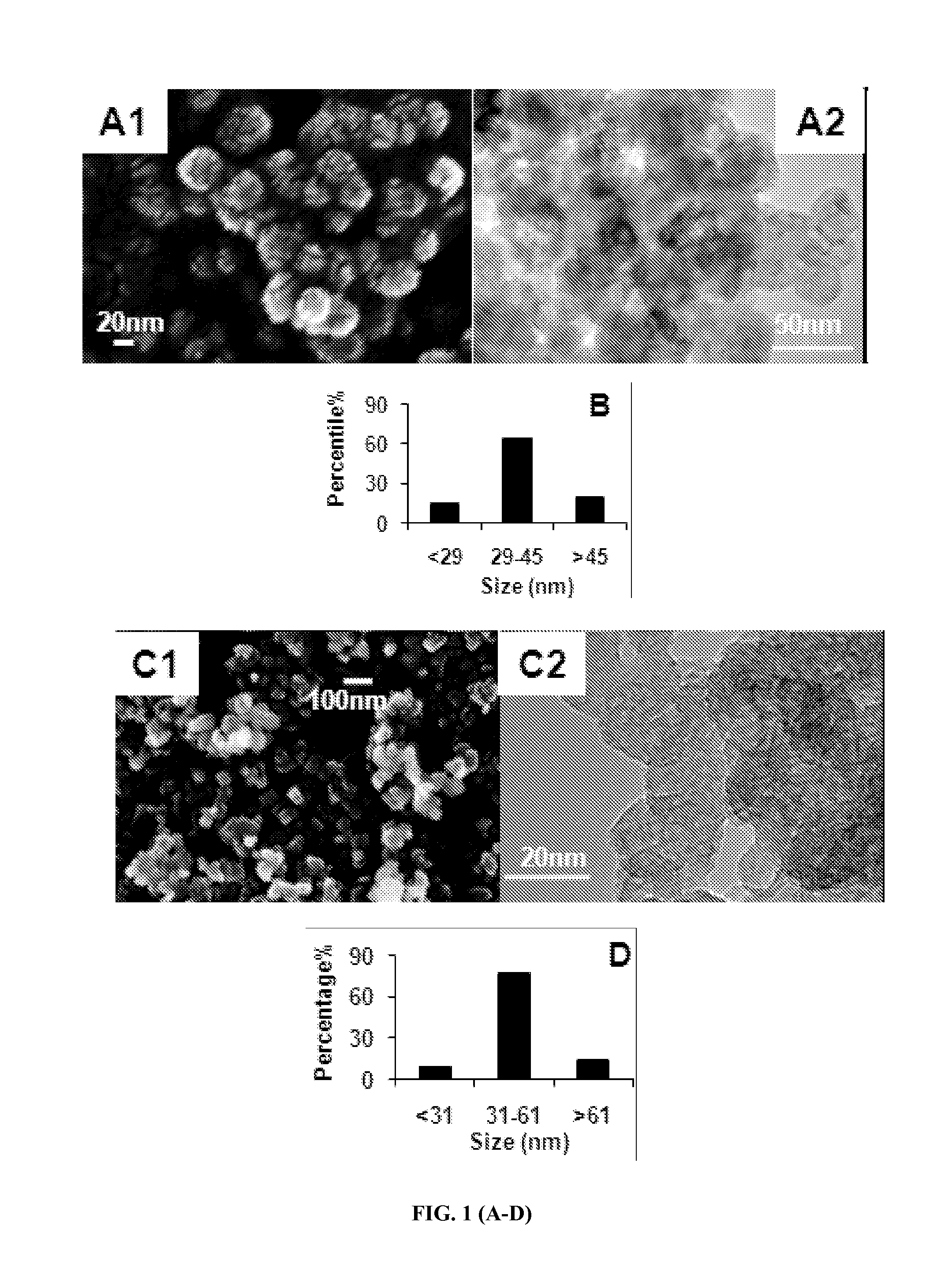 Nanoparticle dental composition and method of making