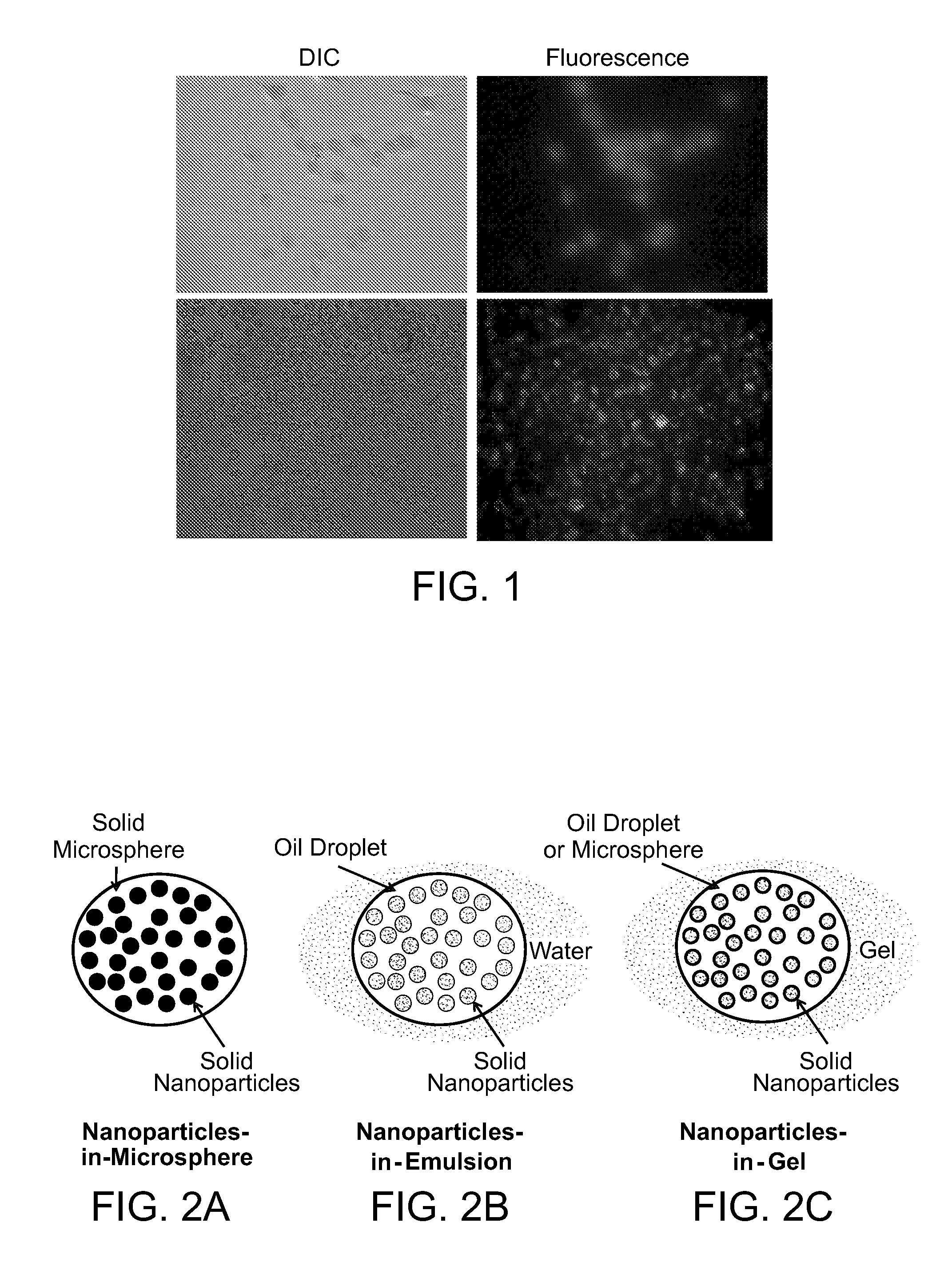 Multi-compartmental macrophage delivery