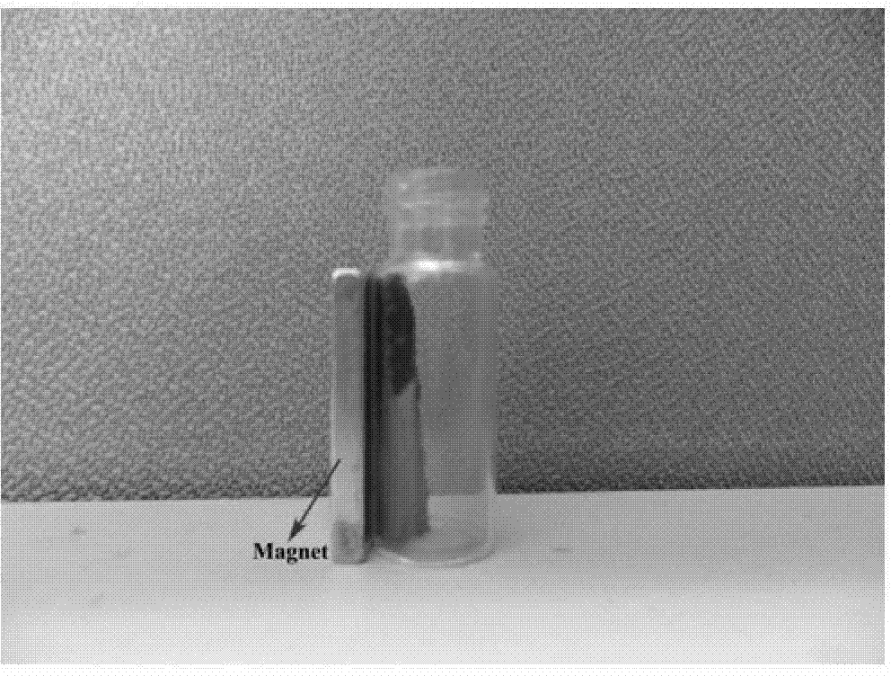 Magnetic chitosan/nano Fe3O4 composite and preparation method and application thereof