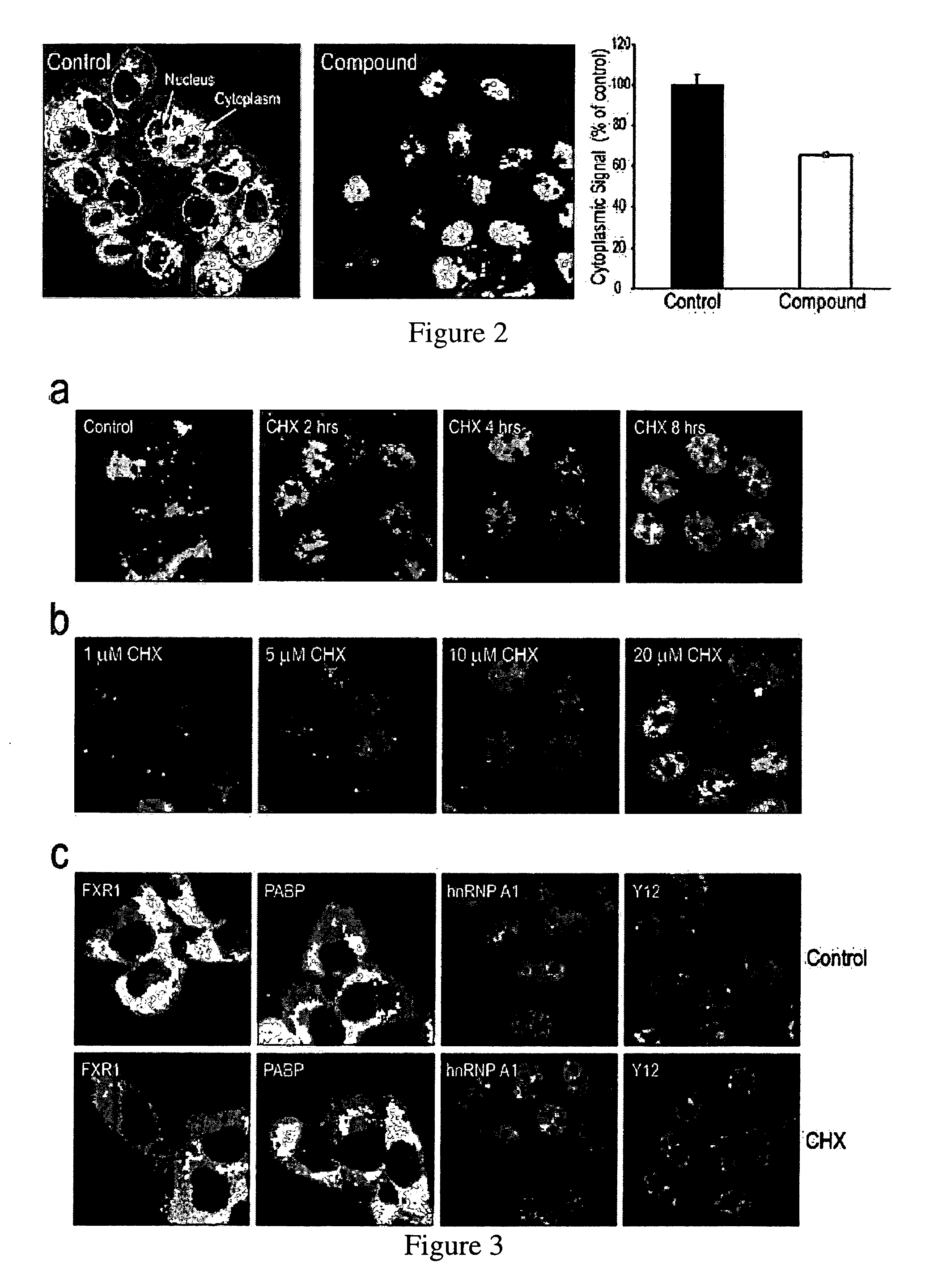 Method for testing or screening protein synthesis inhibitors