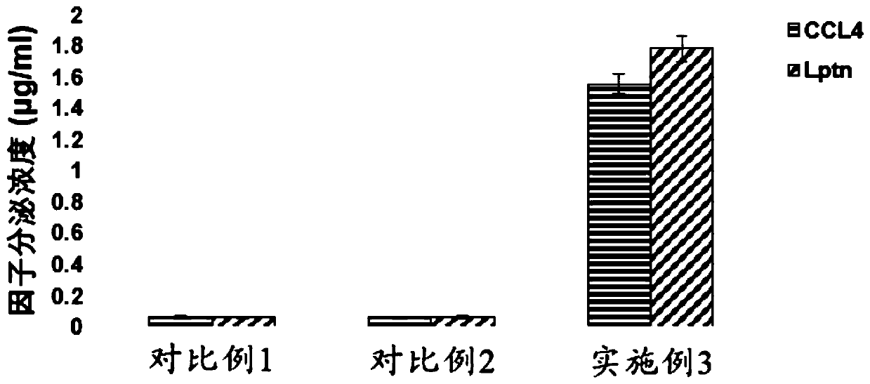 Recombinant mesenchymal stem cell, and preparation method and application thereof