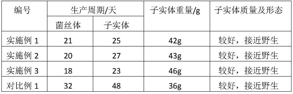 Method for efficiently cultivating phellinus igniarius sporocarp based on artificial bag material