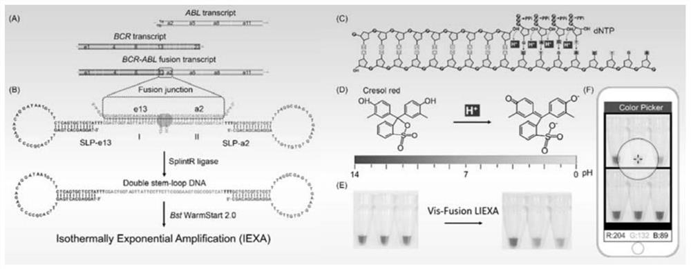 A nucleic acid quantitative analysis method based on intelligent equipment and its application