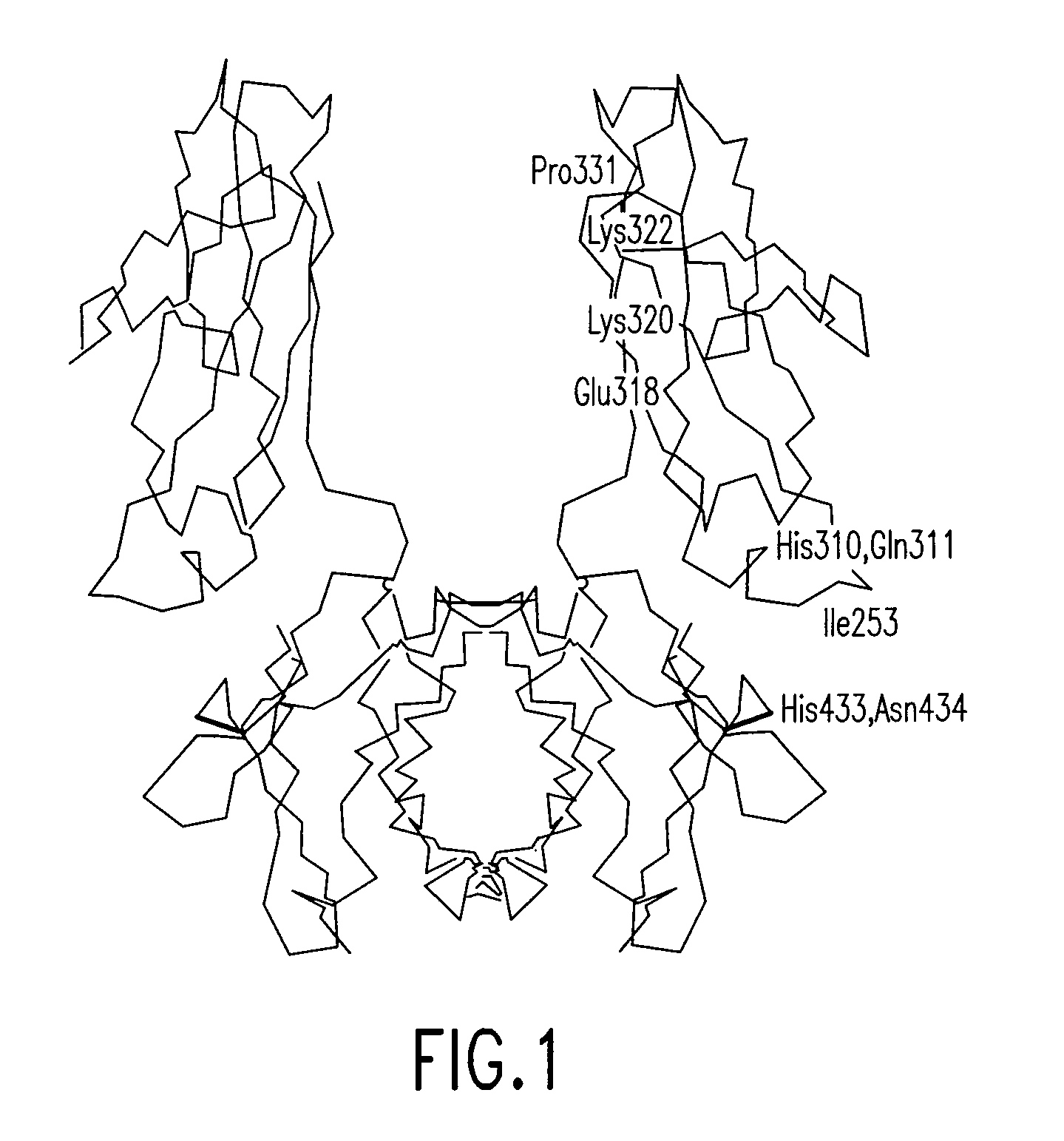 Molecules with extended half-lives, compositions and uses thereof