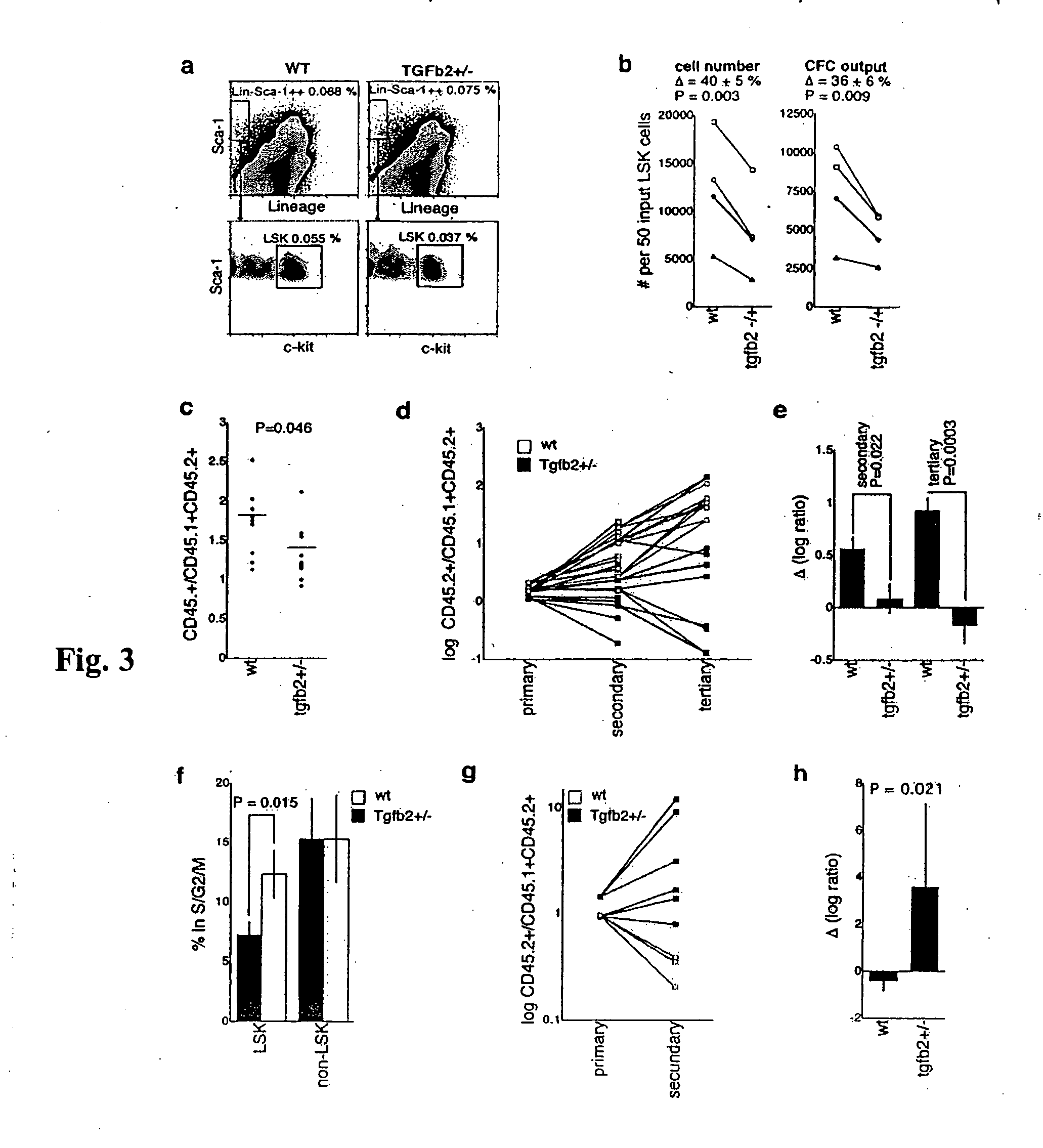 Splicing variant of TGF-beta2 and uses thereof