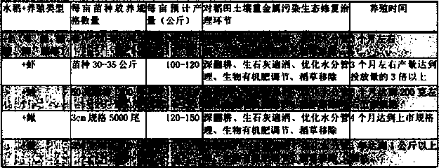 Method for ecological restoration of soil heavy metal pollution by rice field comprehensive planting and breeding technology