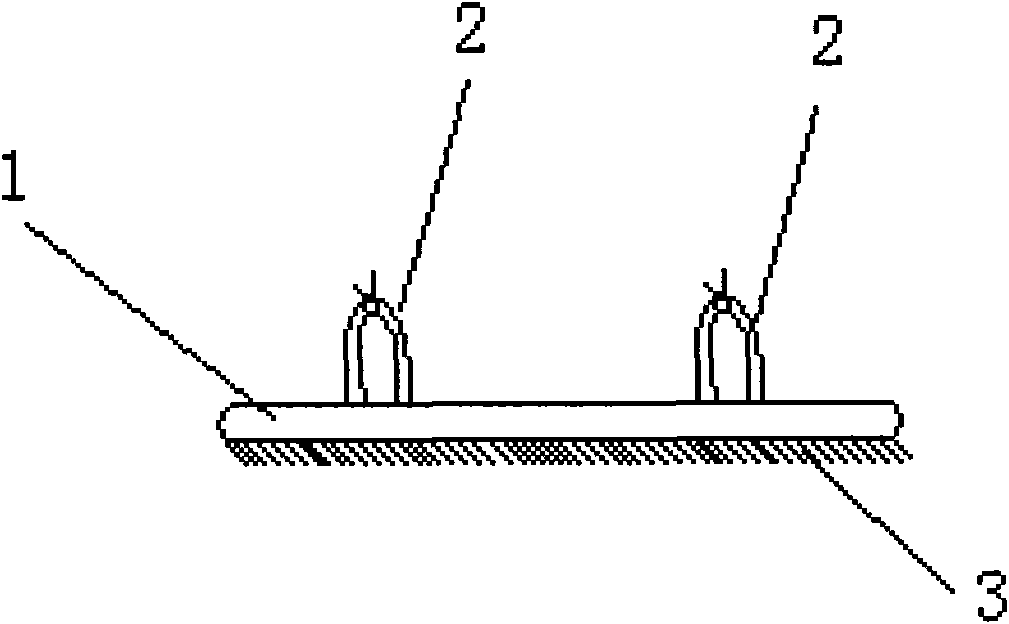 Novel slippers and manufacturing method thereof