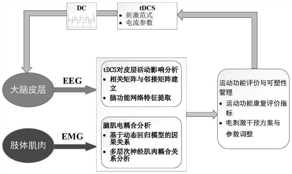 A management method for cortical plasticity in movement disorders based on transcranial electrical stimulation brain-muscle coupling