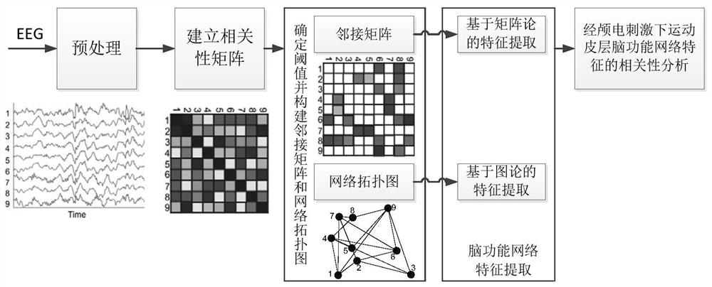 A management method for cortical plasticity in movement disorders based on transcranial electrical stimulation brain-muscle coupling