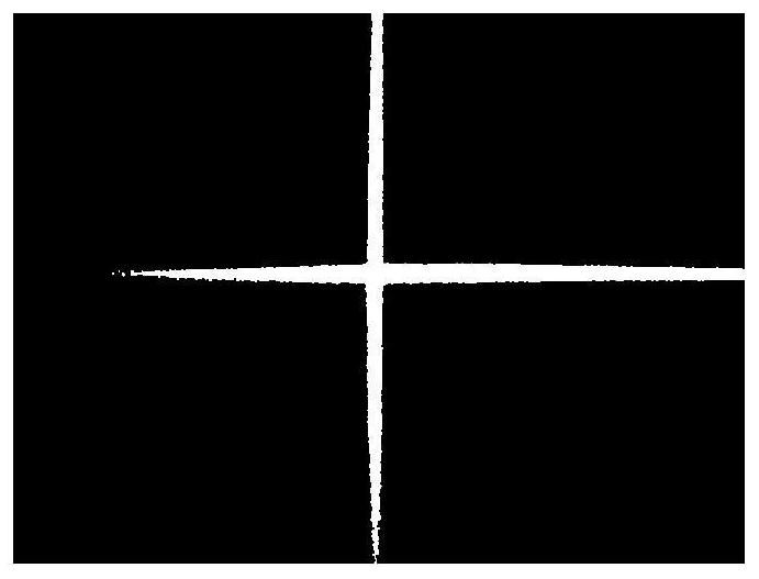 A method and system for image-type roadbed surface settlement monitoring with cross laser