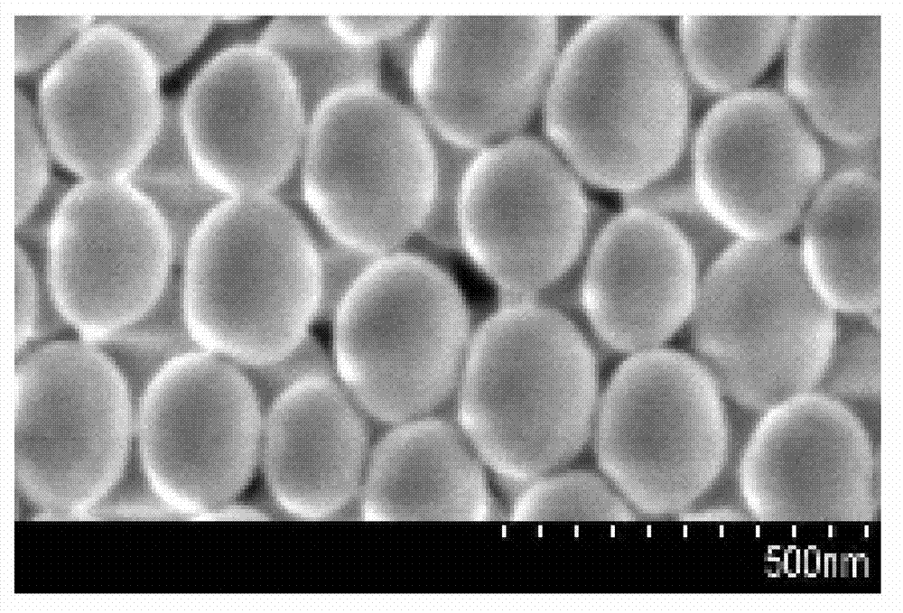 Nanoparticle-reinforced wallpaper paste and preparation method thereof