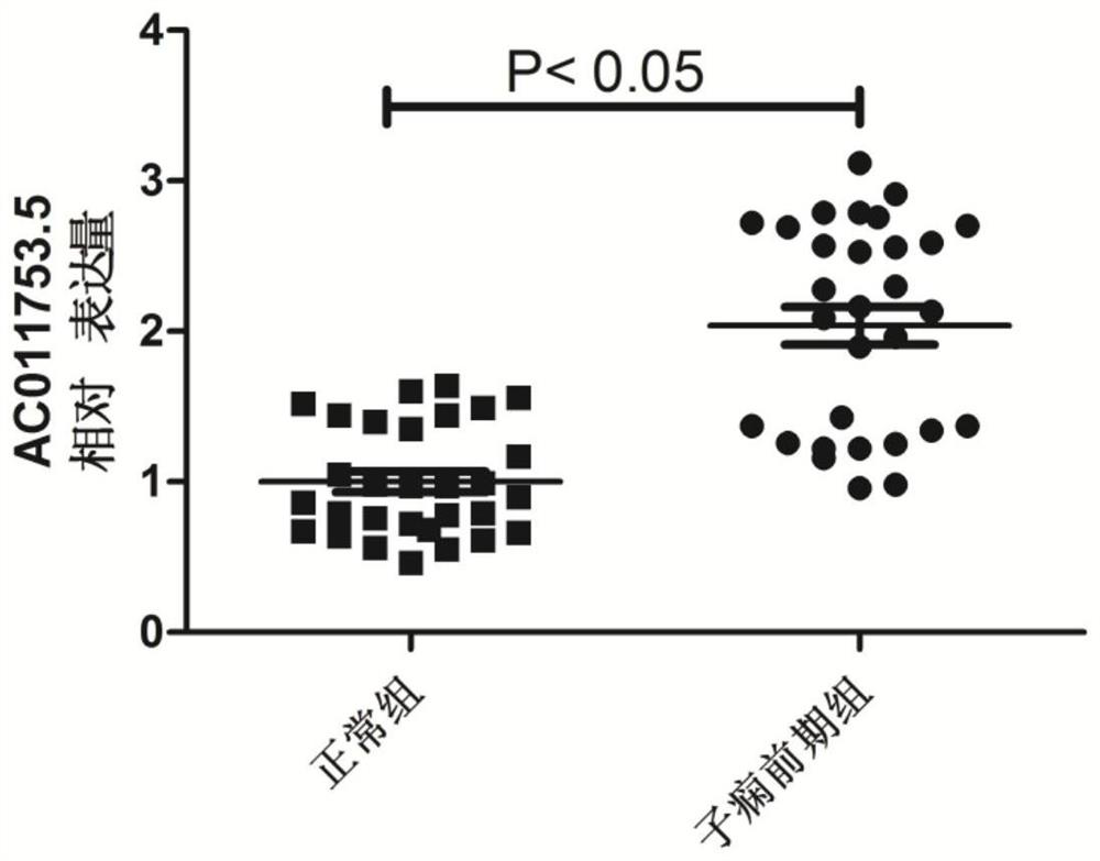 Gene related to preeclampsia and application thereof