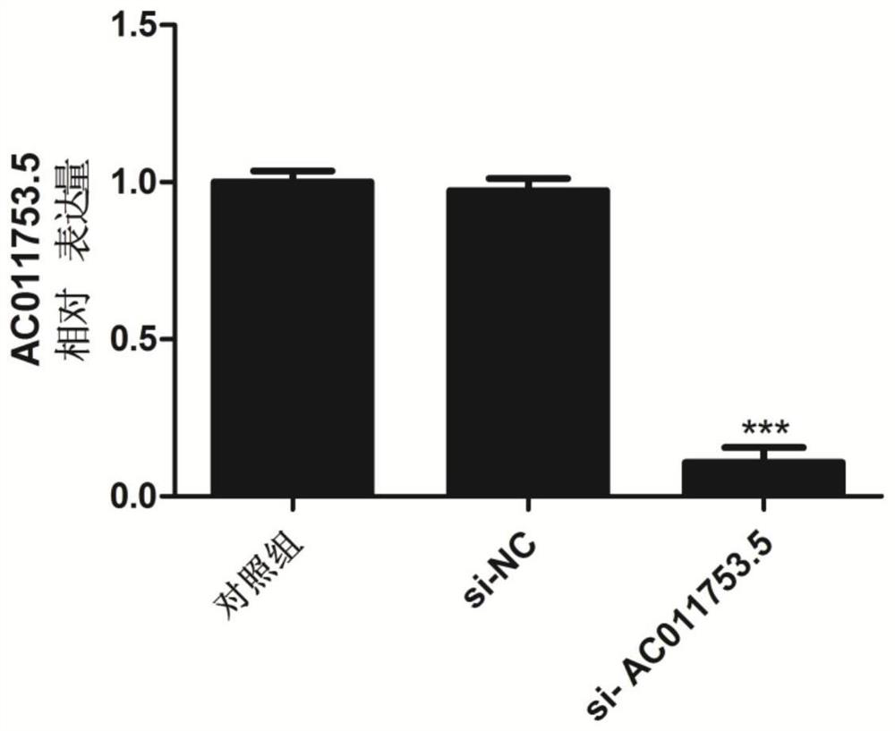 Gene related to preeclampsia and application thereof