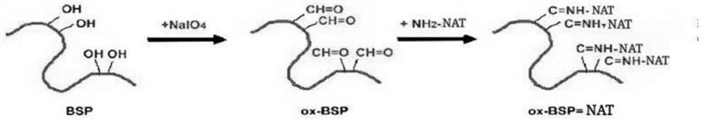 Method for improving natamycin by using rhizoma bletillae polysaccharide and application