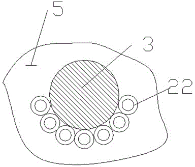 Nut protein extracting device with output tube and primary auxiliary teeth