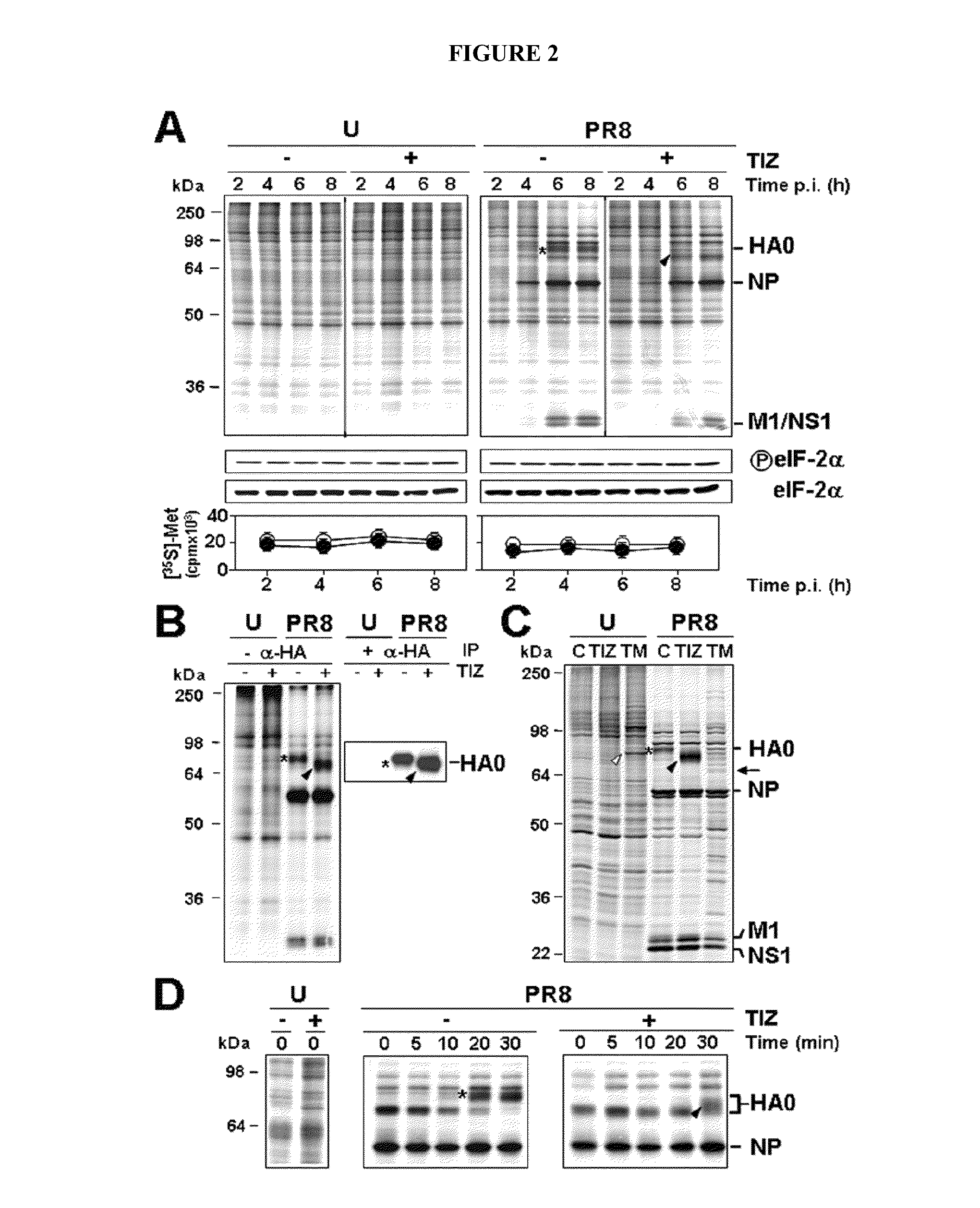 Compounds and methods for treating influenza