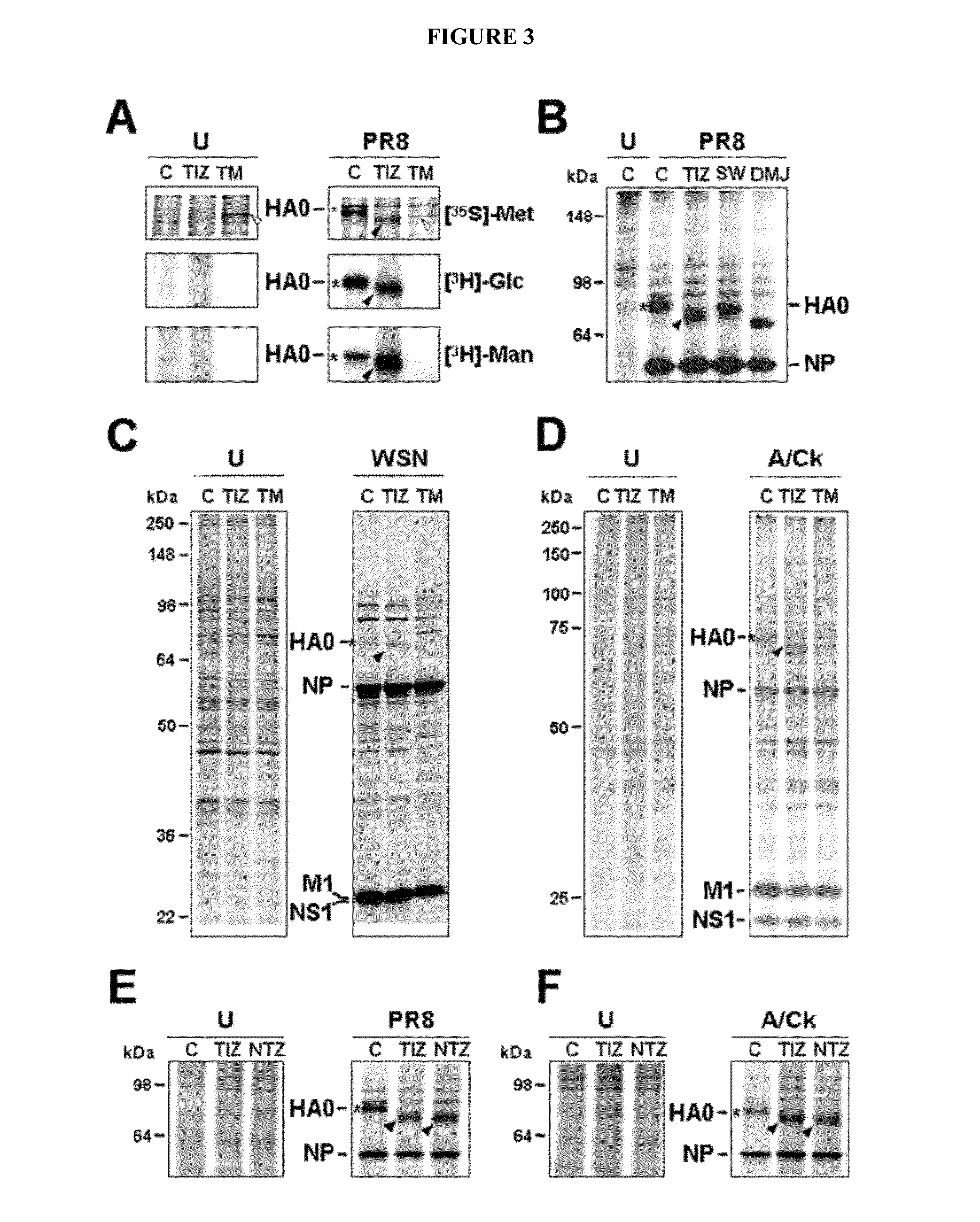 Compounds and methods for treating influenza