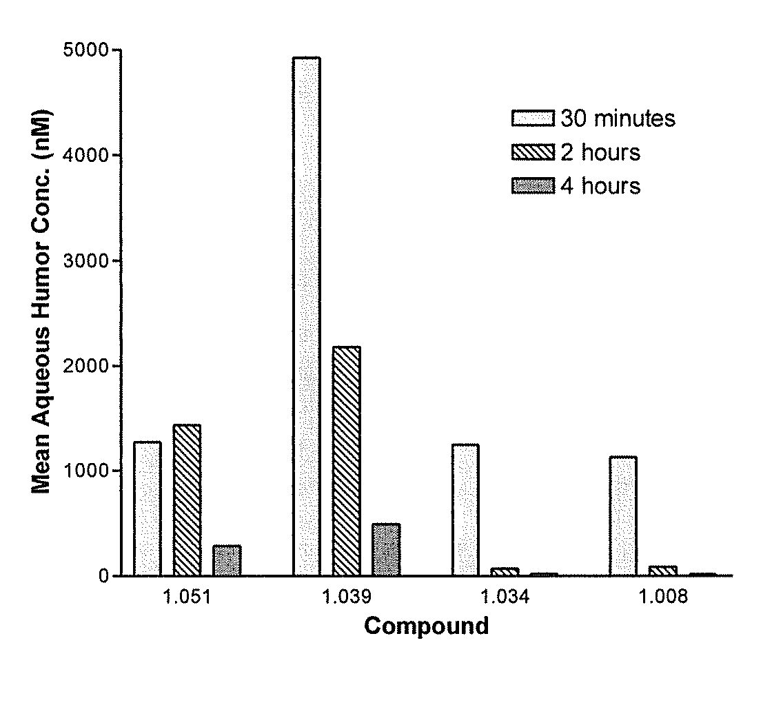 Cytoskeletal active rho kinase inhibitor compounds, composition and use