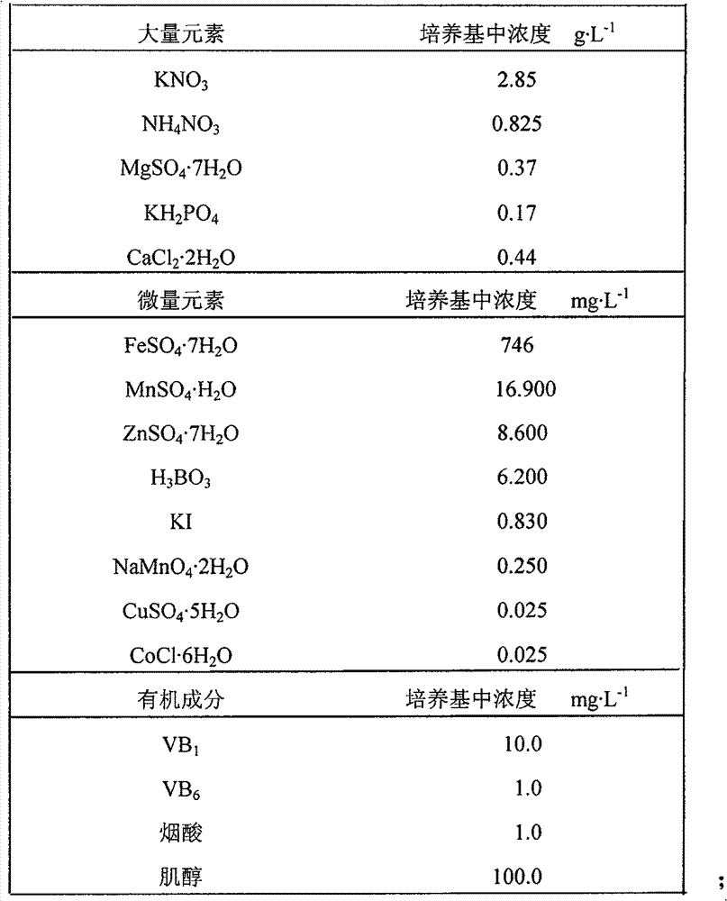 Method for culturing directly differentiated tissues of cotton true leaf and special culture medium