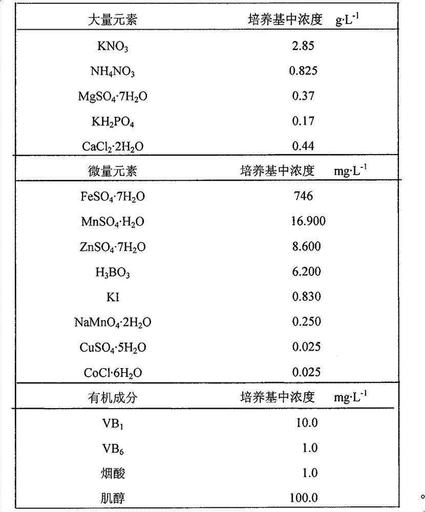 Method for culturing directly differentiated tissues of cotton true leaf and special culture medium