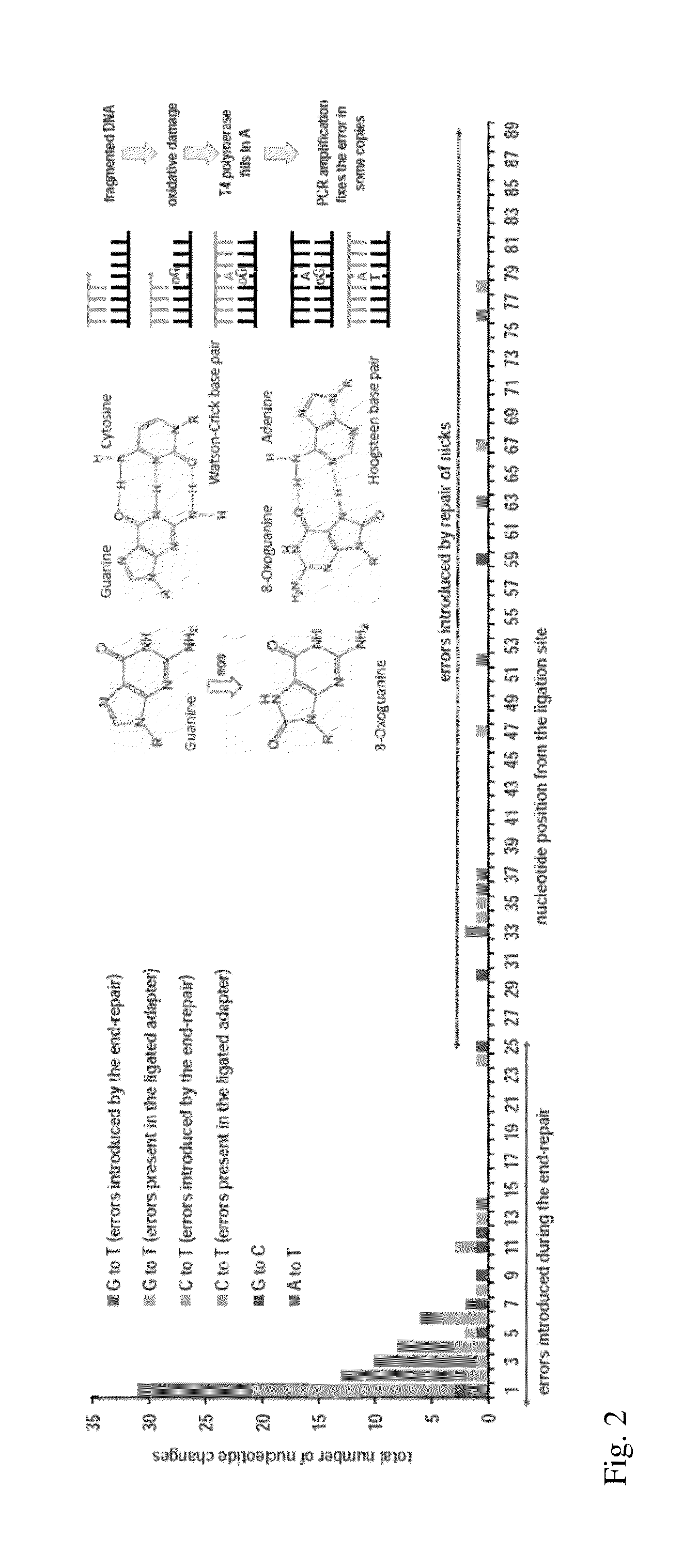 Method for Accurate Sequencing of DNA