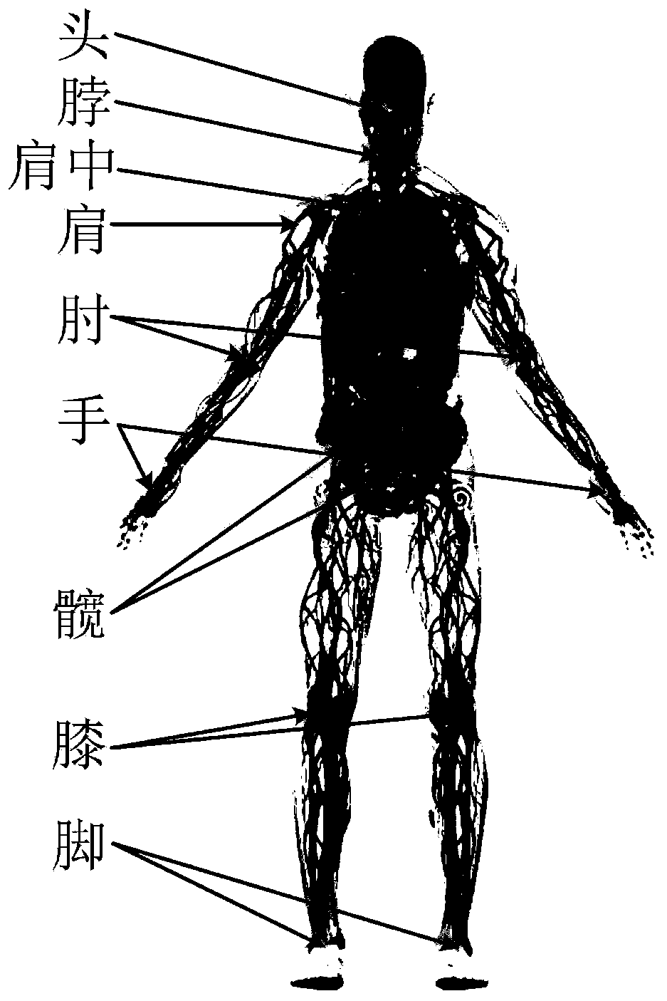 Human body posture visual identification method of transfer carrying nursing robot