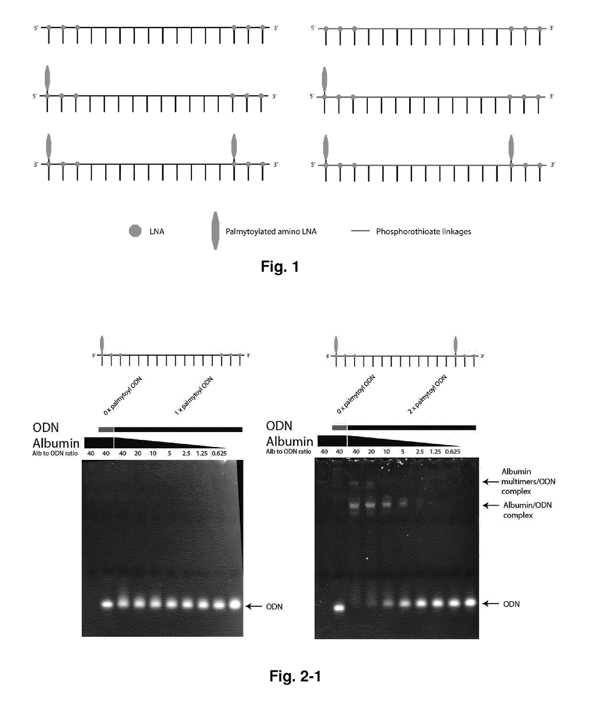 Acyl-amino-lna and/or hydrocarbyl-amino-lna oligonucleotides