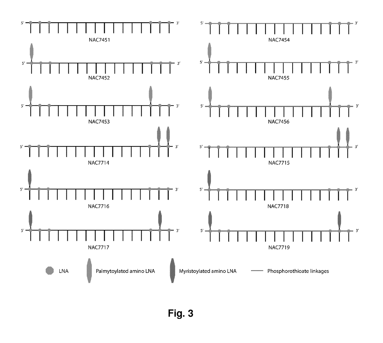 Acyl-amino-lna and/or hydrocarbyl-amino-lna oligonucleotides