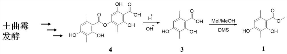 A method for producing 4-o-desmethylbarba lichenic acid by using Aspergillus terreus strain and then synthesizing and synthesizing oakmoss