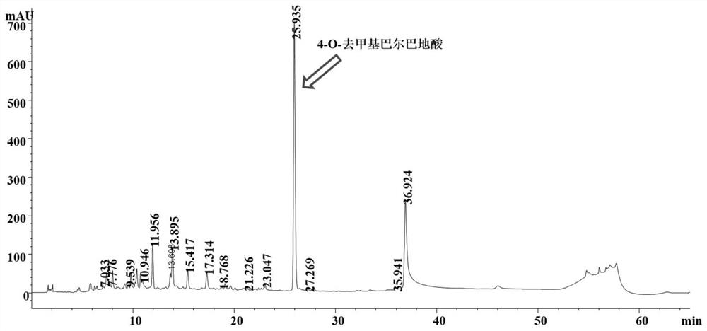 A method for producing 4-o-desmethylbarba lichenic acid by using Aspergillus terreus strain and then synthesizing and synthesizing oakmoss