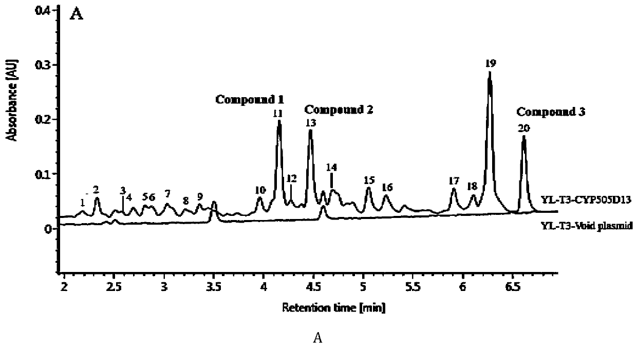 Method for heterologous production of linear triterpenes